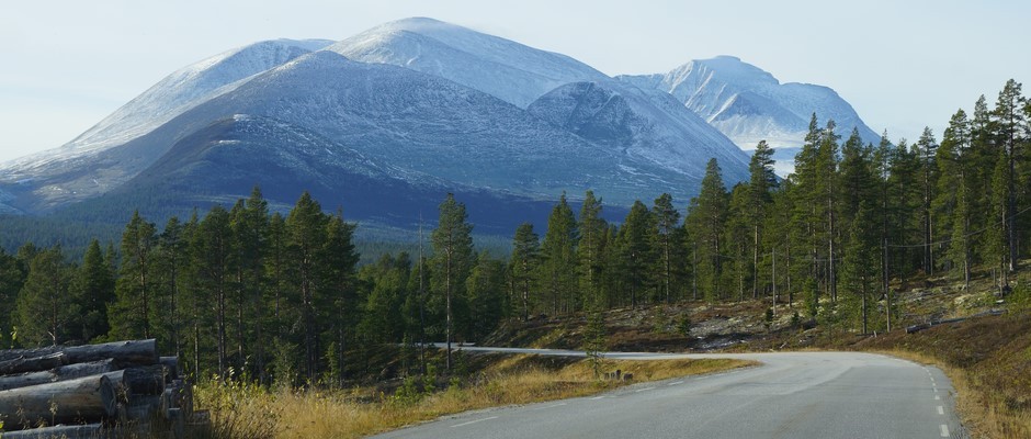 Venabygdsfjellet